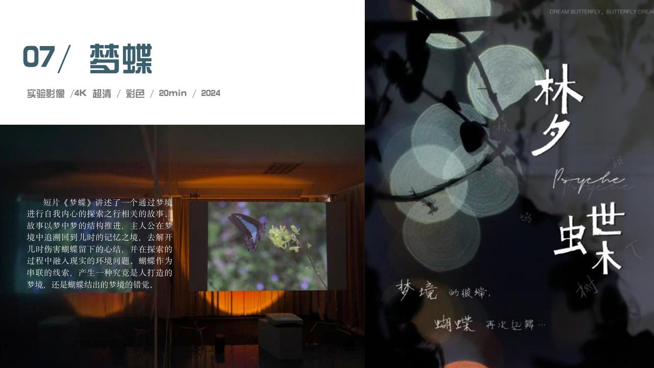 Dream Butterfly — Experimental Video